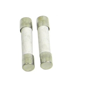 A104 TPI 0.5 Amp/600V Ul Ceramic Fuse For 100 Series Dmm’S (2 Each)