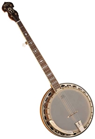 Washburn B120K Deluxe 5-String Bluegrass Resonator Banjo w/ Hard Case