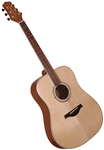 Wood Song D-NA Dreadnought Solid Sitka Top Acoustic Guitar w/ Bag