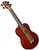 Eddy Finn EF-EBASS Acoustic/Electric Ukulele Bass Uke w/ Aquila Strings and Gig Bag