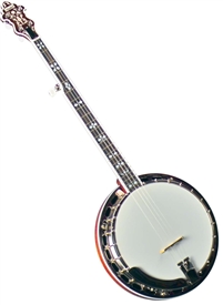 Flinthill FHB-280 Banjo Professional Bluegrass 5 String w/ Case - Limited Time!!