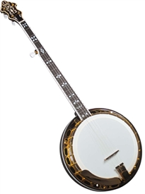 Flinthill FHB-287A Archtop (Gold) Banjo Bluegrass 5 String w/ Case