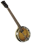 Gold Tone GT-750 Deluxe Banjitar Six String Electric Banjo. Free case, setup and shipping!