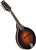 Morgan Monroe MM-100AM A-Style Spruce Top Mandolin