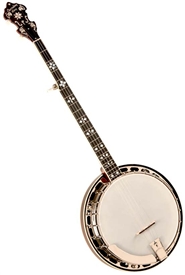 Recording King RK-ELITE-76 "The Elite" 5-String Professional Bluegrass Banjo