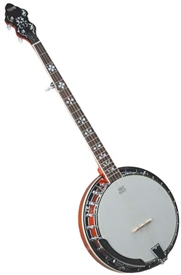 Recording King RK-R20 Songster 5 String Banjo Rolled Brass Tone Ring w/ Case