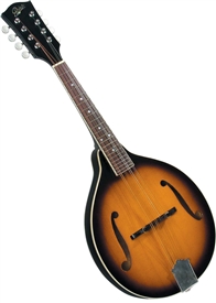 Rover RM-50 Mandolin All-Solid A-Model Player Series Mandolin