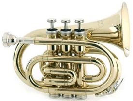 RS Berkeley PT622 Elite Series Vintage Matte Pocket Trumpet w Mouthpiece,Case,Care Kit