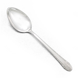 Enchantress by International, Sterling Five O'Clock Coffee Spoon