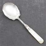 Pearl Handle by Universal Berry Spoon