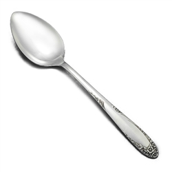 English Garden by S.L. & G.H. Rogers, Silverplate Teaspoon