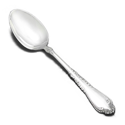 Norfolk by 1847 Rogers, Silverplate Teaspoon