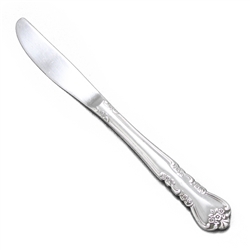 Delight by Stanley Roberts, Stainless Dinner Knife