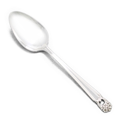 Eternally Yours by 1847 Rogers, Silverplate Dessert/Oval/Place Spoon