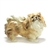 Figurine by Lefton, Ceramic, Pekingese