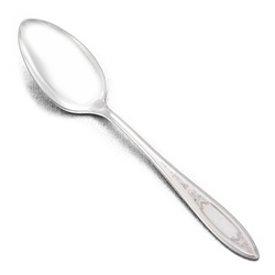 Debutante by Wm. A. Rogers, Silverplate Tablespoon (Serving Spoon)