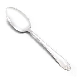 Exquisite by Rogers & Bros., Silverplate Tablespoon (Serving Spoon)