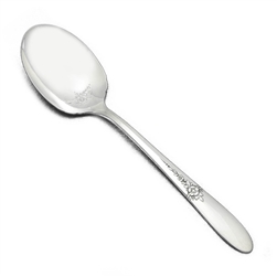 Fantasy by Tudor Plate, Silverplate Sugar Spoon