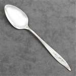 First Frost by Oneida, Sterling Teaspoon