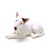 Figurine, Porcelain, Bull Terrier