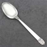 Northern Lights by International, Sterling Tablespoon (Serving Spoon)