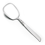 South Seas by Community, Silverplate Berry Spoon