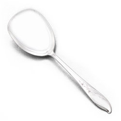 Springtime by 1847 Rogers, Silverplate Berry Spoon