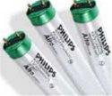 PHILIPS 25 WATT T8  5000K FLUORESCENT BULB