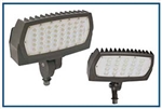 Compact flood light