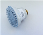 Color Changing LED Spa Bulb