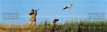 Pheasant 3 Hunting Rear Window Graphic