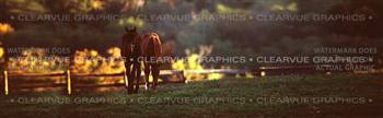 Autumn Horses Rear Window Graphic