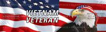 Vietnam Veteran Patriotic Rear Window Graphic