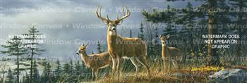 Autumn Whitetails Deer Rear Window Graphic