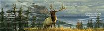 High Mountain Elk Deer Rear Window Graphic