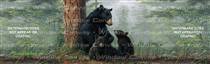 Bear Family Wildlife Rear Window Graphic