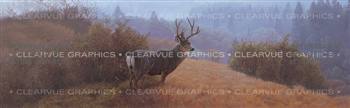 Autumn Haze Wildlife Rear Window Graphic