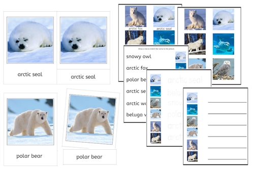 6 Arctic Animals Cards (PDF)
