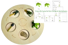 Life Cycle of a Frog with Demo Tray
