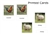 12 Farm Animals 3-Part Cards