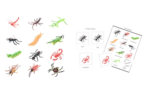 12 Plastic Insects and PDF 3-Part Cards
