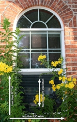 Window Screen, Top-to-Bottom, Less than 25" wide x Less than 27" tall