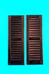 Black Louvered Shutters