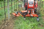 Lotti IT15E 3PT Side Trim Mower Lotti IT15E 3PT Side Trim Mower