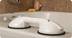 Portable Grab Bar