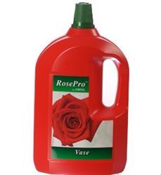 ROSEPRO VASE SOLUTION BY CHRYSAL