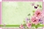 Green with flowers, butterflies, & pink border (Pack of 50 enclosure cards)