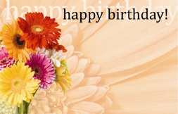 "Happy Birthday" : Orange gerbera close up (Pack of 50 enclosure cards)