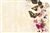 Flowers, butterflies, yellow lace (Pack of 50 enclosure cards)