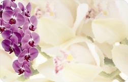 Orchid mix (Pack of 50 enclosure cards)